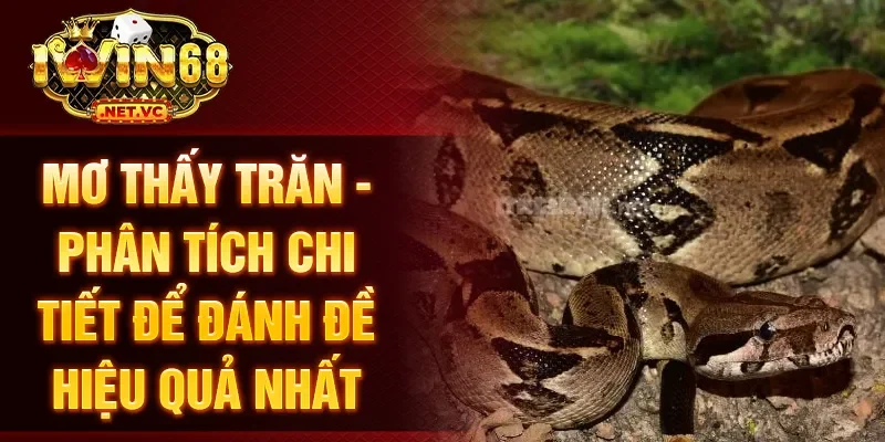 Mơ thấy trăn